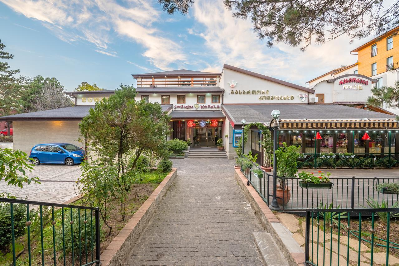 Kopala Tskneti Hotel Tsqnet'i Extérieur photo