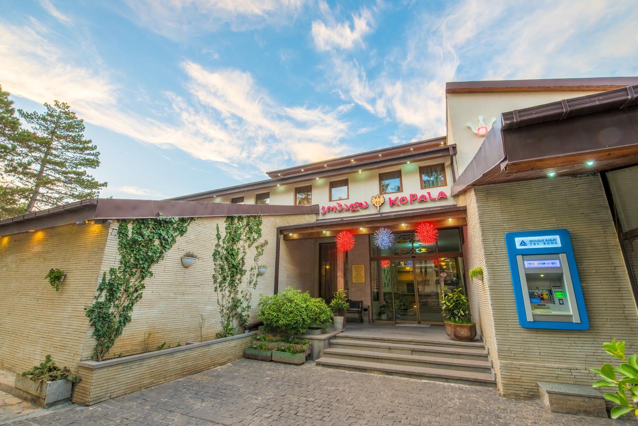 Kopala Tskneti Hotel Tsqnet'i Extérieur photo